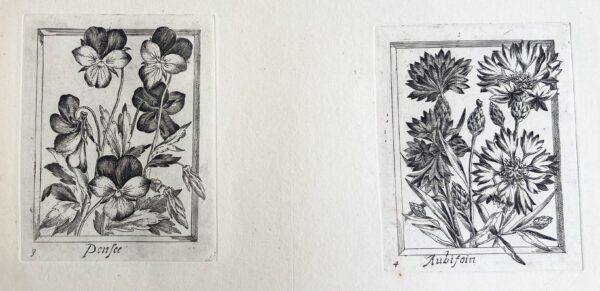 Pierre VALLET - (Différentes fleurs), ca 1680