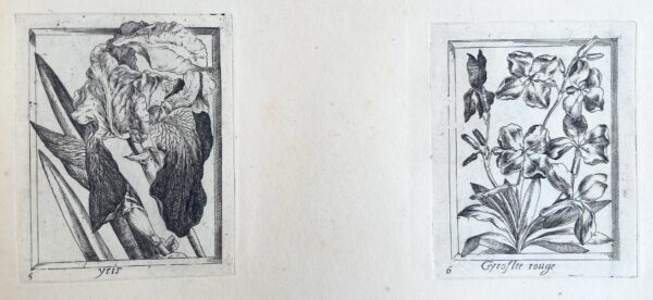 Pierre VALLET - (Différentes fleurs), ca 1680