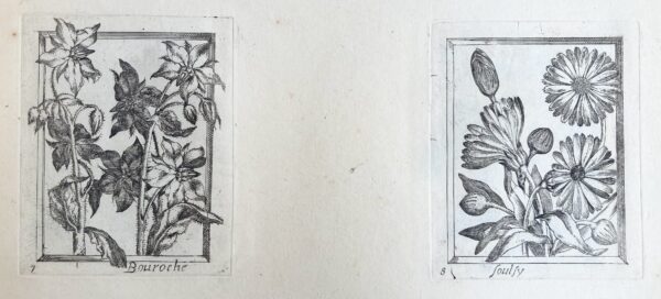Pierre VALLET - (Différentes fleurs), ca 1680