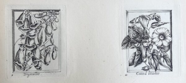Pierre VALLET - (Différentes fleurs), ca 1680