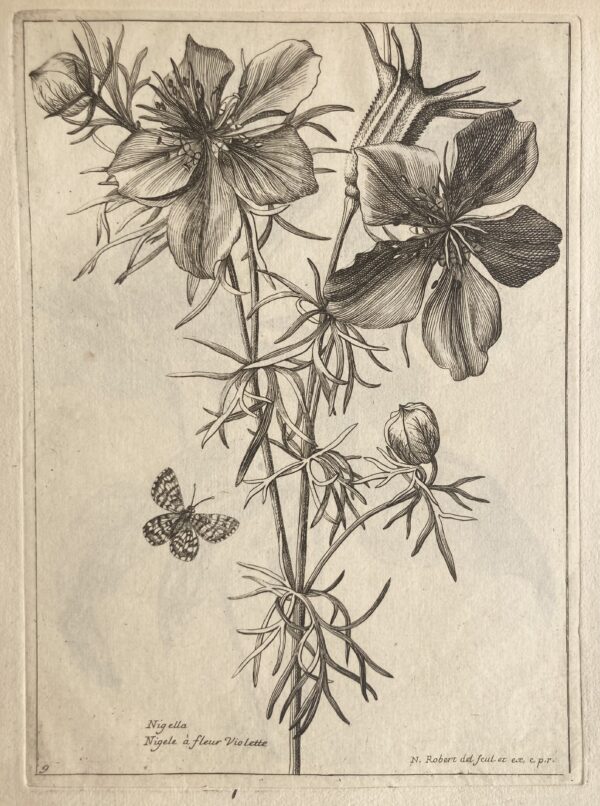 Nicolas ROBERT - Plusieurs espèces de fleurs dessinées et gravées d'après le naturel, 1676